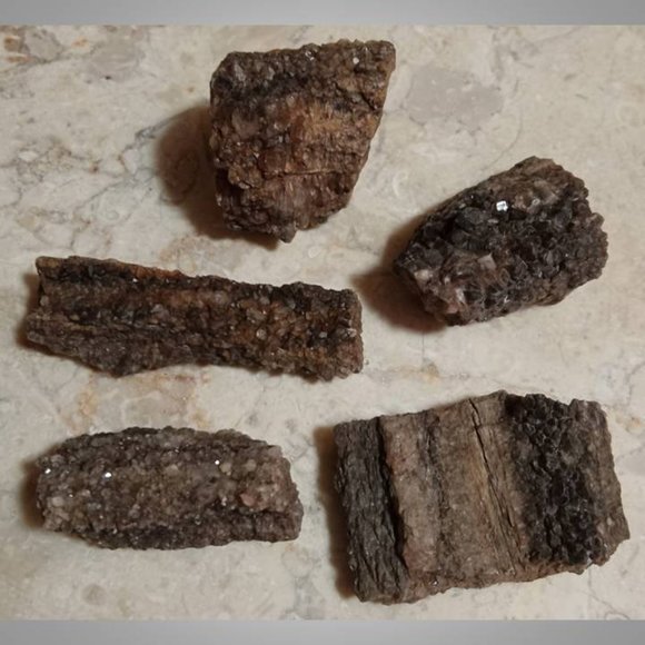 petrified wood covered in smokey \ smoky quartz stone rock fossil chunks - Picture 2 of 5